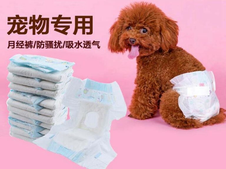 母狗专用纸尿裤